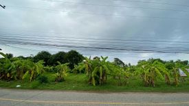 Land for sale in Aranyik, Phitsanulok