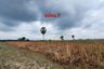Land for sale in Thong Chai, Phetchaburi