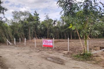 Land for sale in Mae Pu Kha, Chiang Mai