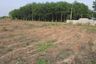 Land for sale in Hua Samrong, Chachoengsao