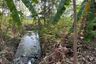 Land for sale in Phlapphla Chai, Suphan Buri