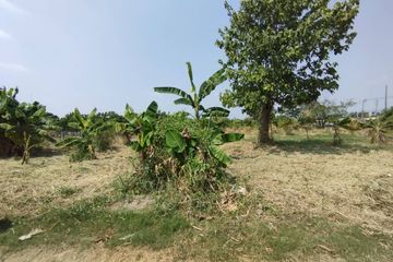 Land for sale in Bang Si Mueang, Nonthaburi