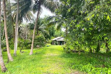Land for sale in Na Toei, Phang Nga