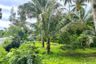 Land for sale in Na Toei, Phang Nga