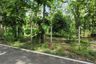 Land for sale in On Klang, Chiang Mai