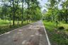 Land for sale in On Klang, Chiang Mai