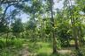 Land for sale in On Klang, Chiang Mai