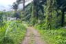 Land for sale in Tha Yu, Phang Nga