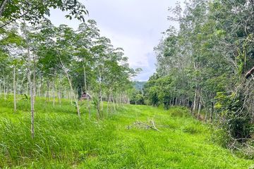 Land for sale in Tha Yu, Phang Nga