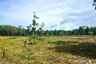 Land for sale in Khok Kloi, Phang Nga