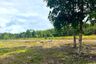 Land for sale in Khok Kloi, Phang Nga