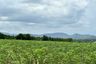 Land for sale in Nong-Kham, Chonburi