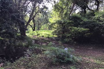 Land for sale in Klang Dong, Nakhon Ratchasima