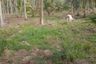 Land for sale in Saeng Arun, Prachuap Khiri Khan