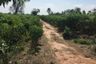 Land for sale in Song Tham, Kamphaeng Phet