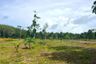 Land for sale in Khok Kloi, Phang Nga