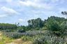 Land for sale in Khok Kloi, Phang Nga