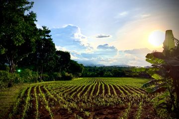 Land for sale in Pong Talong, Nakhon Ratchasima