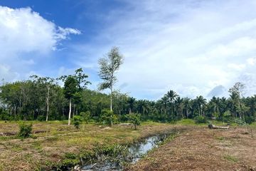 Land for sale in Khok Kloi, Phang Nga
