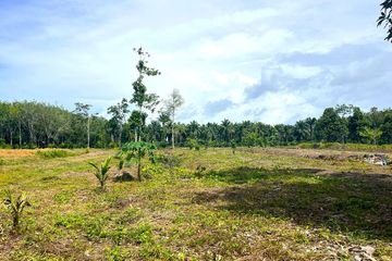 Land for sale in Khok Kloi, Phang Nga