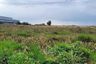 Land for sale in Makham Khu, Rayong