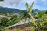 Land for sale in Pong Yaeng, Chiang Mai