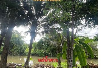Land for sale in Tha Sala, Chiang Mai