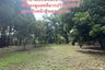 Land for sale in Tha Sala, Chiang Mai