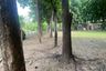 Land for sale in Tha Sala, Chiang Mai