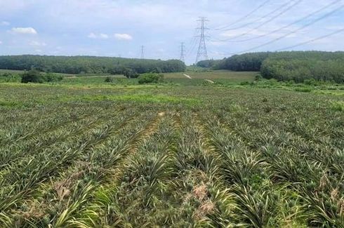 Land for sale in Khao Khan Song, Chonburi