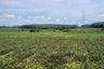 Land for sale in Khao Khan Song, Chonburi
