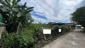 Land for sale in Saraphi, Chiang Mai