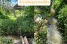 Land for sale in Choeng Doi, Chiang Mai