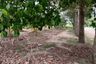 Land for sale in Bo Win, Chonburi