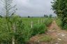 Land for sale in Khao Khan Song, Chonburi