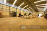 Warehouse / Factory for Sale or Rent in Bang Phli Yai, Samut Prakan