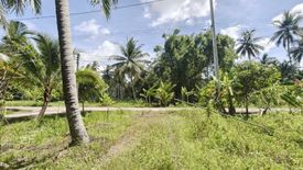 Land for sale in Khlong Noi, Surat Thani