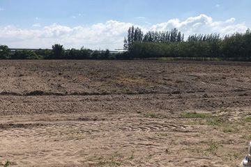 Land for sale in Nong Irun, Chonburi