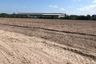 Land for sale in Nong Irun, Chonburi