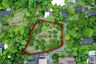 Land for sale in Khua Mung, Chiang Mai