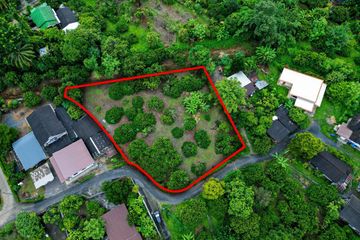 Land for sale in Khua Mung, Chiang Mai