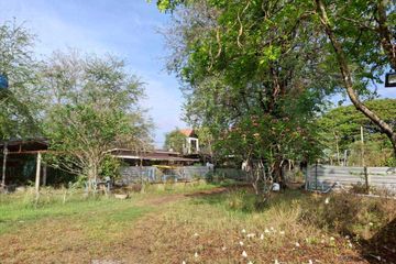 Land for sale in Khok Salung, Lopburi