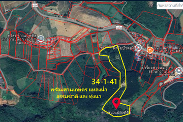 Land for sale in Chan Chawa Tai, Chiang Rai