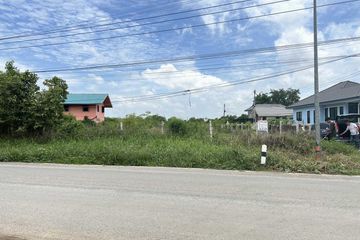 Land for sale in Suan Phrik, Phra Nakhon Si Ayutthaya