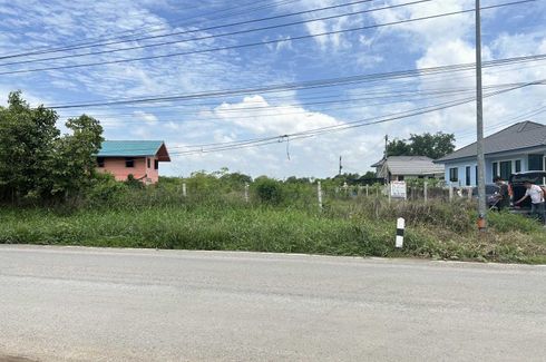 Land for sale in Suan Phrik, Phra Nakhon Si Ayutthaya
