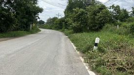 Land for sale in Suan Phrik, Phra Nakhon Si Ayutthaya