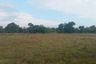 Land for sale in Wang Dan, Prachin Buri