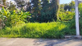 Land for sale in San Kamphaeng, Chiang Mai