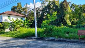 Land for sale in San Kamphaeng, Chiang Mai
