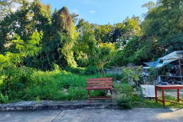 Land for sale in San Kamphaeng, Chiang Mai